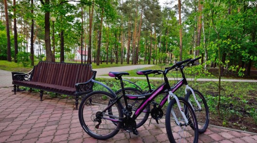 Услуги проката