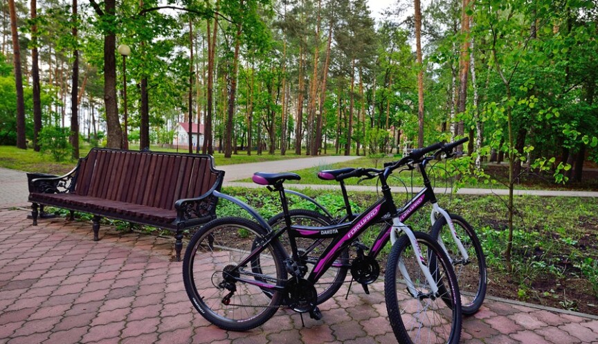 Услуги проката